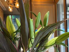 -THE WOODS 简餐 (国贸商城店)