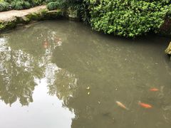 -杭州黄龙洞