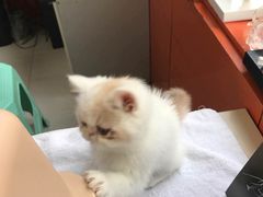 -惠康宠物医院(华能路店)