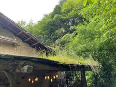 -悠然山高山湿地景区悠然自得庭