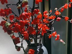 -掌柜的店·河南的菜(世茂店)
