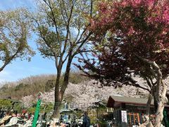 -幕燕滨江·长江观音景区