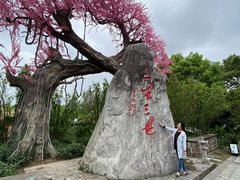 -昌州古城
