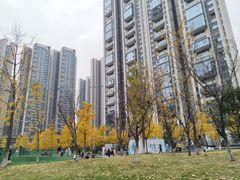 -立里春天印象·影院足疗轻养SPA(二十四城店)