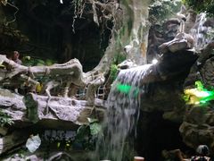 -多彩贵州城极地海洋世界