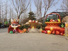 -南宫五洲植物乐园