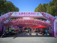 -南汇桃花村
