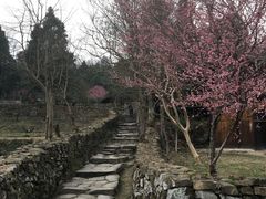 -唐崖土司城遗址