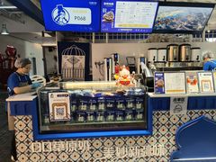-西琳姑娘·新疆冰淇淋酸奶茶(南开大悦城店)