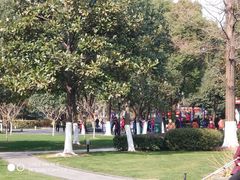 -常州古运河南大街文化旅游区-人民公园