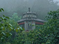 -老张烤羊(王哥庄店)