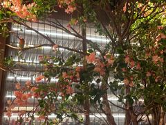 -星·South Beauty·俏江南(国贸店)