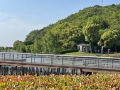 -东钱湖旅游度假区