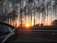 -汤旺河林海奇石景区