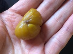 -阿男野栗王(金门路店)