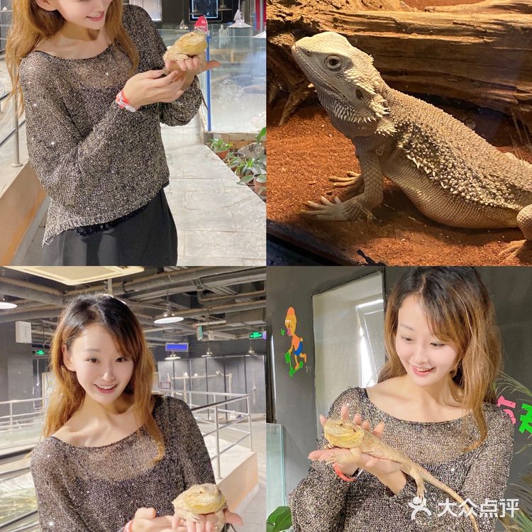 济南卡尔的萌宠庄园