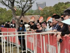 -春花秋色城市公园