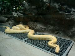 -北京动物园