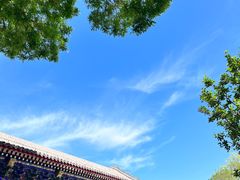 -颐和园