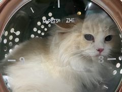 -谐和贝康宠物医院24小时·宠保定点(急重症转诊中心)