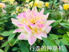 -国家植物园