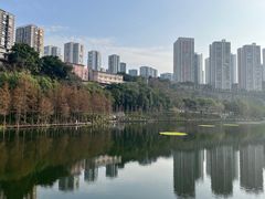 -重庆彩云湖湿地公园