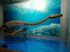 -自贡恐龙博物馆