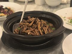 -喜来登由由大酒店九州膳坊中餐厅