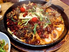 -老板恋上鱼(恒隆广场店)