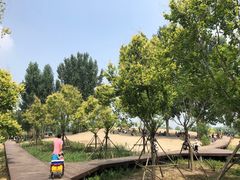 -东郊湿地公园