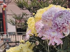 -小榄公饭店·岭南庭院餐厅(民安北路店)