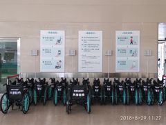 -中国人民解放军总医院(301医院)