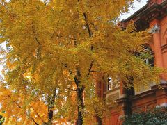 -华山医院-食堂