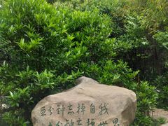 -观唐（国际）度假村温泉