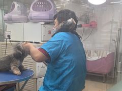 -瑞派旺宝宠物医院·犬猫全科综合·尿道专科(莲兴院)