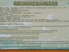 -演武大桥观景平台