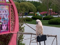 -北京野生动物园