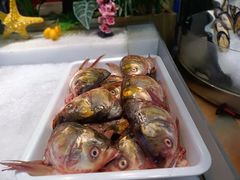 -鹿客臻鲜海鲜自助餐厅(永旺店)