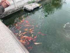 -梅园