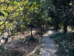 -东钱湖旅游度假区