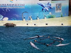 -杭州长乔极地海洋公园