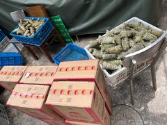 -金太粽(上海弄堂第一粽店)