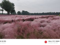 -汉长安城未央宫国家考古遗址公园