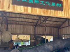 -金山植物公园