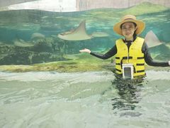 -新加坡水上探险乐园