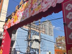 -溪岸路花鸟市场