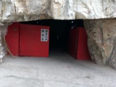 -仙蘑洞