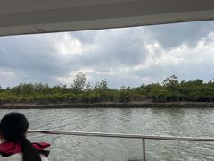 -东寨港红树林旅游区