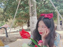 -那琴半岛地质海洋公园