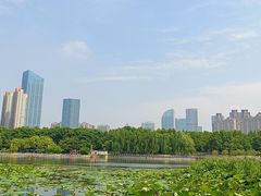 -后襄河公园